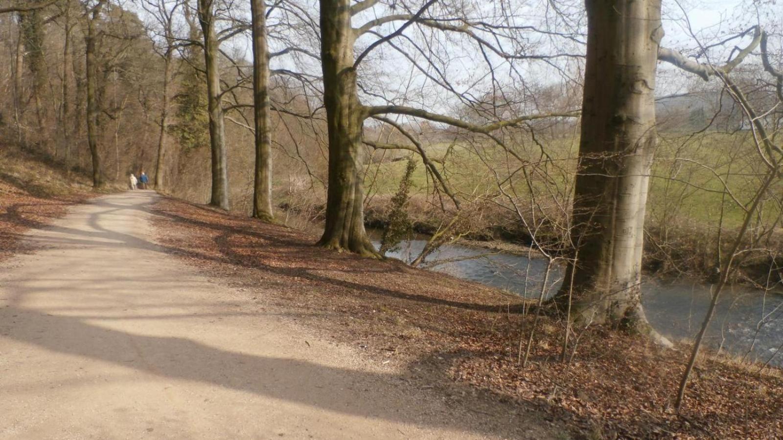 Heynen